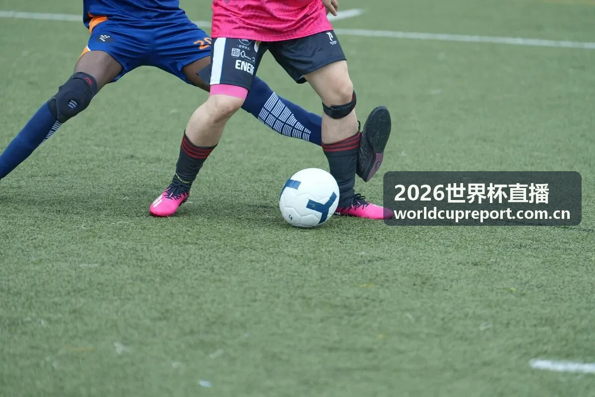 2026世界杯直播 - 阿根廷对阵巴西南美德比