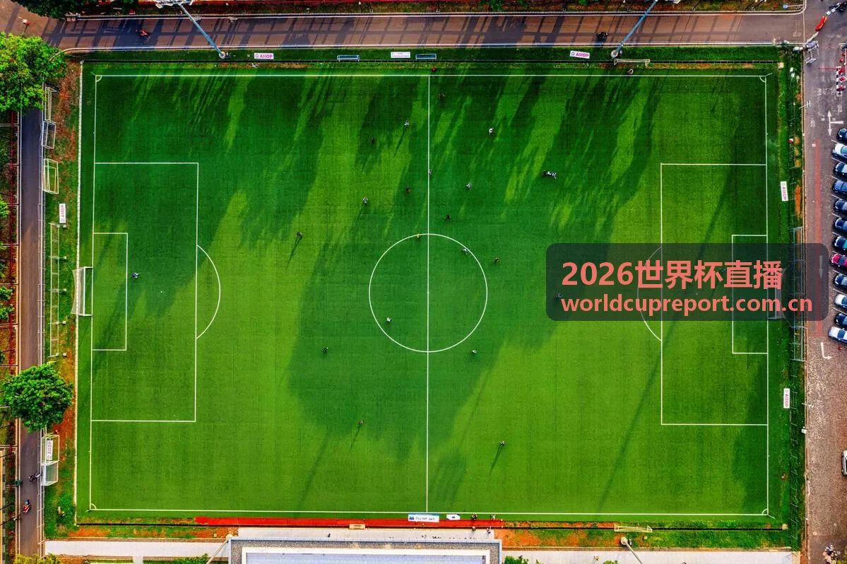 2026世界杯直播 - 阿根廷国家队阵容